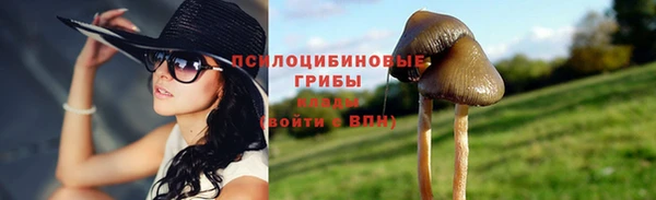 амф Алексин